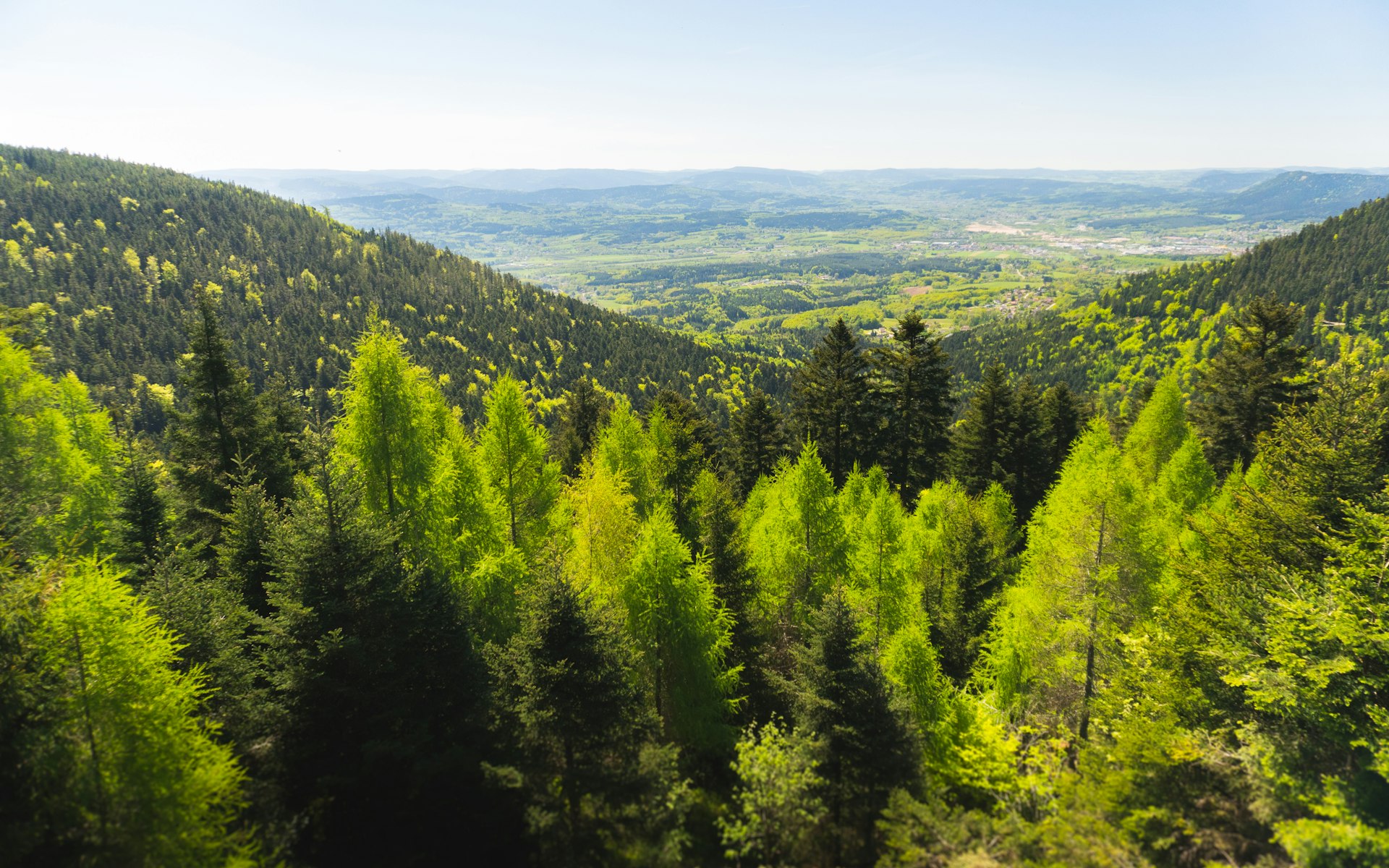 Vallée boisée autour de Saint-Dié-des-Vosges